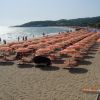 Spiaggia con file di ombrelloni arancioni vicino al mare.