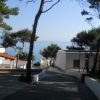Sentiero verso il mare tra pini e edifici bianchi.