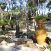 Grande vaso giallo in un giardino con piante e rocce.