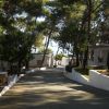 Un viale alberato conduce tra edifici bianchi.