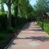 Un vialetto pavimentato, fiancheggiato da alberi e aiuole fiorite.