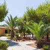 Giardino con palme e vialetti pavimentati.