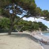 Una spiaggia ombreggiata da alberi con sdraio e persone.