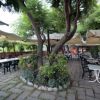 Giardino con tavoli sotto ombrelloni e alberi.