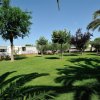Don Antonio Glamping Village (TE) Abruzzo