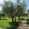 Don Antonio Glamping Village (TE) Abruzzo