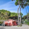 Struttura rosa piccola tra alberi alti.