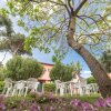 Un giardino con sedie bianche e un grande albero.