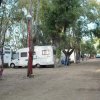 Camper parcheggiati tra gli alberi.