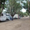 Caravan parcheggiati lungo un viale alberato.