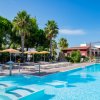 Piscina con lettini, ombrelloni e palme.