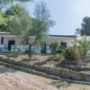 Bungalows tra gli alberi su un terreno in pendenza.