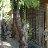 Stradina con bungalow di legno e alberi.