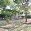 Giardino con alberi e vialetti tra aiuole di pietra.