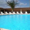 Una grande piscina circolare con sdraio bianche intorno e una palma alta nelle vicinanze.