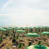 Spiaggia con ombrelloni verdi e lettini su sabbia dorata, cielo sereno.