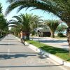 Pista ciclabile fiancheggiata da palme sotto un cielo azzurro, con persone che pedalano.