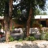 Area esterna di un caffè all'aperto con tavoli e sedie, circondata da alberi e piante.