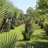 Giardino con palme e fiori viola su prato verde.