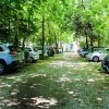 Viale alberato con auto parcheggiate ai lati.