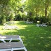 Lettini da sole su prato verde, circondati da alberi.