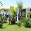 Zona ristorante all'aperto con palme e piante.