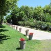 Un vialetto con fioriere allineate e giardino verde.