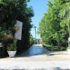 Viale d'ingresso con cartelli, circondato da alberi rigogliosi.