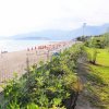 Spiaggia con ombrelloni arancioni e vegetazione verde lungo la riva.