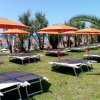Lettini e ombrelloni arancioni su un prato vicino alla spiaggia.