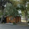 Casetta di legno tra alberi.