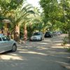 Strada con auto parcheggiate e palme.