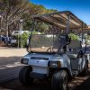 Un golf cart parcheggiato tra alberi e strutture.