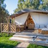 Tenda glamping con veranda e gatto.