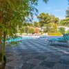 Piscina con sedie a sdraio e piante verdi.