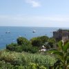 Costa con mare blu, vegetazione, barche e una torre antica in pietra.