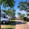 Area campeggio con camper e vialetto alberato.