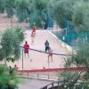 Persone giocano a beach volley in un campo circondato da alberi.