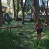 Parco giochi con altalene tra gli alberi.