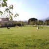 Un ampio prato con attrezzi per agility dog e montagne sullo sfondo.