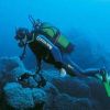 Un subacqueo esplora una barriera corallina in profondità, con attrezzatura da immersione.