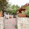 Ingresso giardino con vasi e piante.