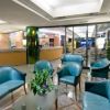 Area lounge con poltrone blu, piante decorative e un banco bar sullo sfondo.