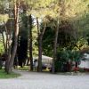 Un sentiero ghiaioso tra alberi e un piccolo edificio bianco.