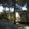Verande di case mobili tra gli alberi.