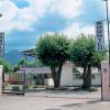 Ingresso di un campeggio con cancello e due alberi.