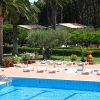 Area piscina con lettini, palme e piante in un giardino.