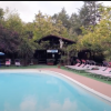 Piscina all'aperto con lettini rosa e vegetazione rigogliosa intorno.