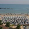 Spiaggia affollata con ombrelloni allineati, mare calmo sullo sfondo.