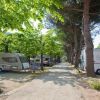 Area campeggio con roulotte tra gli alberi su un vialetto sterrato.